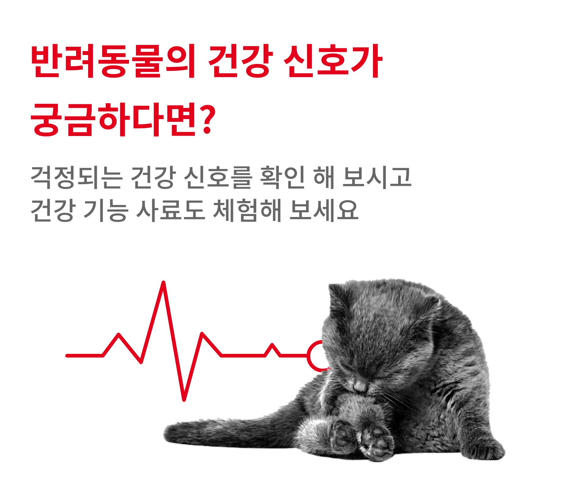 반려동물의 건강 신호가 궁금하다면? 걱정되는 건강 신호를 확인 해 보시고 건강 기능 사료도 체험해 보세요.